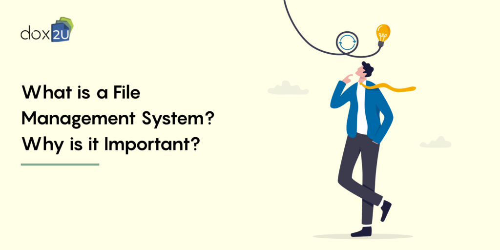 What is a File Management System? Why is it Important?